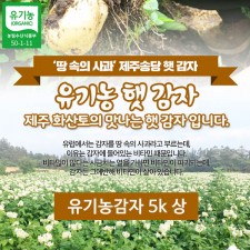 제주 유기농감자 5k 상
