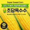 해남 늘해랑 초당옥수수 10개입 (17cm이상)