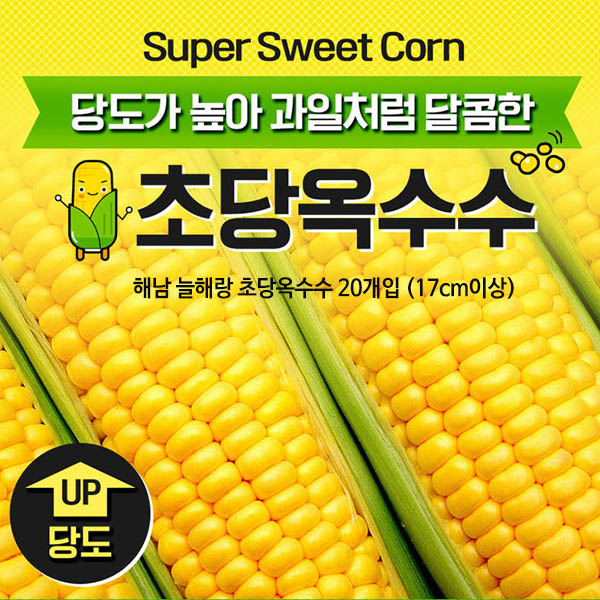 해남 늘해랑 초당옥수수 20개입 (17cm이상)
