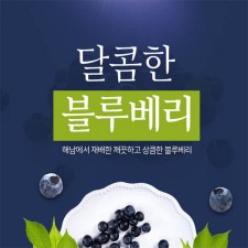 해남 늘해랑 블루베리 생과  2kg