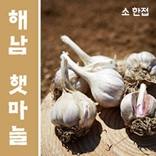 해남 늘해랑 해남마늘 소 한접