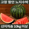 [면세]고창 함안 노지수박 10kg이상