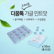 다꿈톡 12정*5box
