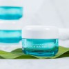 [지고트] 시카티트리 크림 50ml