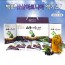 백화 산삼아로니아엑기스 90ml*30포