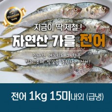 서천어부의 가을전어 1박스 1k 15미내외