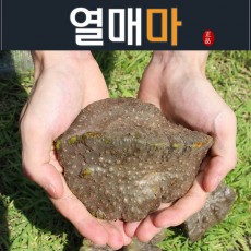 월악산할배 열매마 1박스 3k