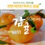 하우스감귤 1박스 3k (41-50과)