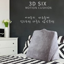 이신우 3D 식스 모션 쿠션 35cm x 4.5cm x 26cm