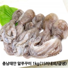충남태안 알쭈꾸미 1kg(15미내외/급냉)