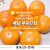 해남 부유 단감 중 5k (25-29 과)