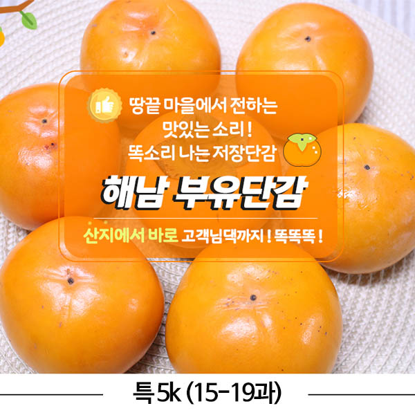해남 부유 단감 특 5k (15-19과)