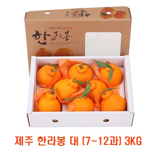 [면세]제주 한라봉 대 (7~12과) 3kg