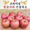 명품 사각 청송사과 선물셋트 1박스 24-28과(10k)