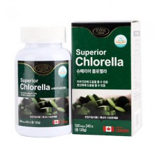 에버그린 슈페리어 클로렐라 [500mg X 240정]