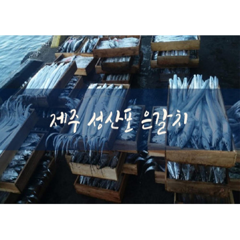 바다내음 제주은갈치 500~700g(특대) (손질 후 410g~580g) 내외