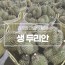 진정한 과일의 황제 생두리안 9kg 6수