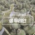 진정한 과일의 황제 생두리안 4.5kg 3수