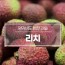 [수입과일] 전설의 과일 생리치 4kg