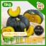 국민쿡 제주 미니밤호박 실속형 5kg (산지직송)