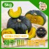 국민쿡 제주 미니밤호박 실속형 5kg (산지직송)
