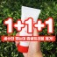 [앙쥬] 세수만하면 싹 없어짐 카멜리아 폼클렌징 100ml*3