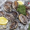 [미각기행] 완도 전복 11-12미 1kg