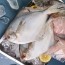 바다의 귀족이라 불리는 국내산병어 2kg (8-22미)