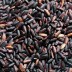 25년산 국산 흑미 1kg(특품)