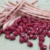 25년산 국산 팥(적두) 1kg(특품)