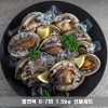 [청진수산] 직접 잡은 초신선 산지직송 활전복 특특대 6-7미 1.5kg 선물세트(솔증정)