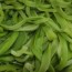 [식감최고] 잘 말린궁채 500g(특품)