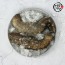 [미각기행] 통영 오도독 통 해삼 500g(2~5미)