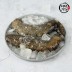 [미각기행] 통영 오도독 통 해삼 1kg(4~10미)