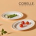 [코렐] 코디네이츠 로즈몬트 타원접시 2P