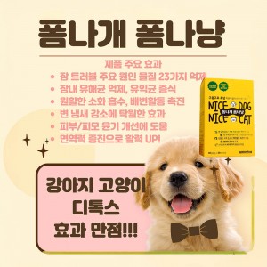 구증구포 흑삼 저분자클러스터 펫디톡스 폼나개 폼나냥