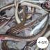 [미각기행] 손질 통영 바다장어 중 650g(4-6미)