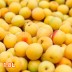 [산앤들] 3년숙성 지리산 장독숙성 매실엑기스 1.8L