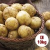 수미감자 대 10kg (중량 70~130g 내외)