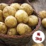 수미감자 특 3kg (130~180g 내외)