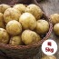 수미감자 특 5kg (130~180g 내외)