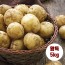 수미감자 왕특 5kg (180~280g 내외)