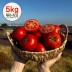 [산지직송] 달디단 국내산 신선한 완숙 찰 토마토 쥬스용(못난이) 5kg