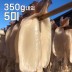 바다바람에 말린 쫄깃한 마른안주! 반건조 오징어 5미 ( 소소 350g 내 )