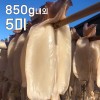 바다바람에 말린 쫄깃한 마른안주! 반건조 오징어 5미 ( 특대 850g 내외 )