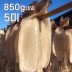 바다바람에 말린 쫄깃한 마른안주! 반건조 오징어 5미 ( 특대 850g 내외 )
