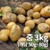 26년 햇 감자_중 3kg 조림&알감자용 중량 (50g~80g)