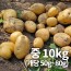 26년 햇 감자_중 10kg 조림&알감자용 중량 (50g~80g)