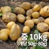 26년 햇 감자_중 10kg 조림&알감자용 중량 (50g~80g)