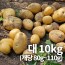 26년 햇 감자_대 10kg 알감자용&찜용 중량 (80g~110g)